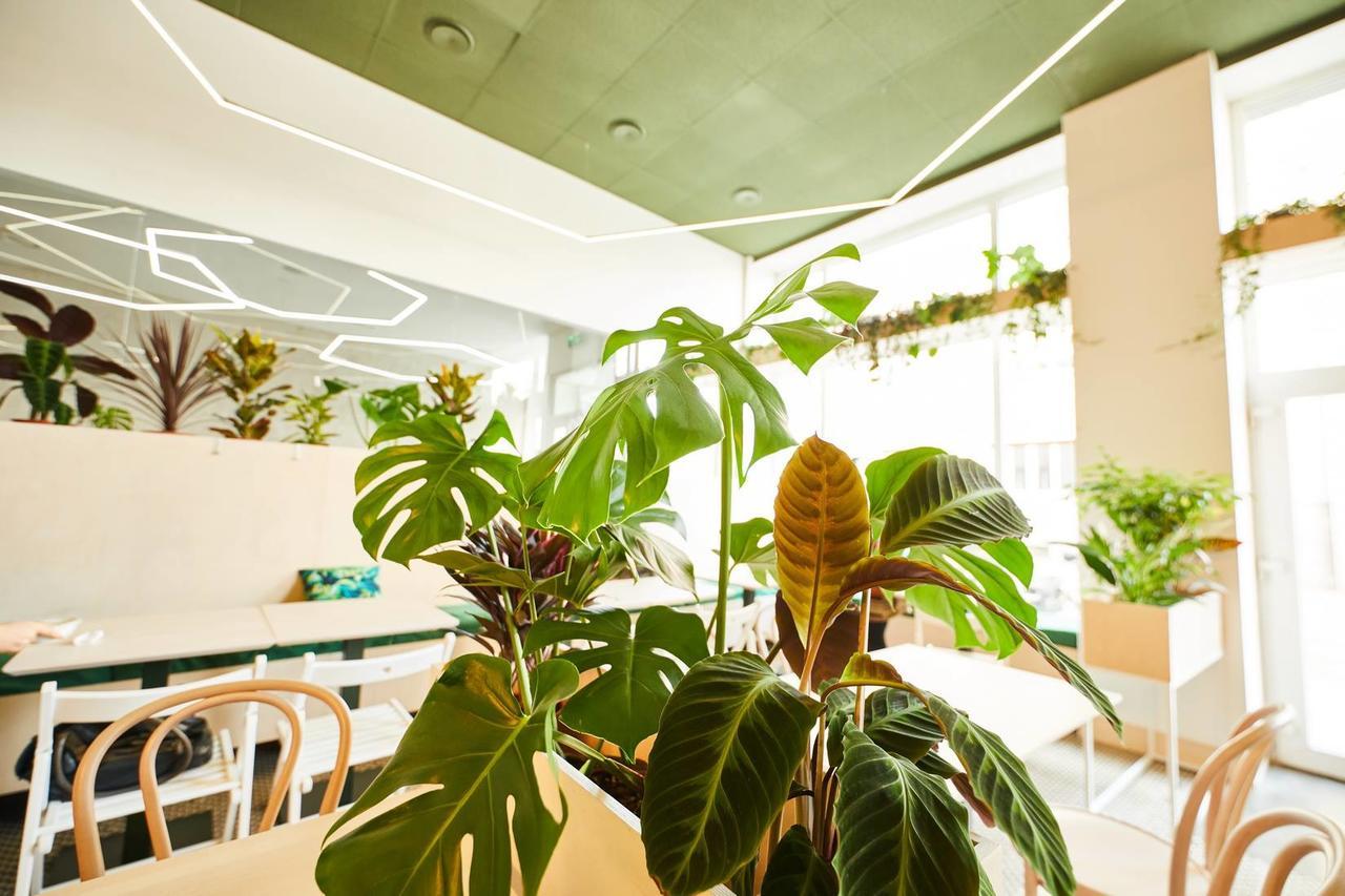 Cynamon Hostel Łódź Zewnętrze zdjęcie